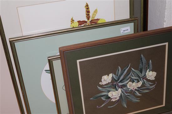 W. V. Franklin Her Majesty, signed and five other original watercolours of orchids largest 21 x 14in.